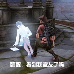 娱乐圈吃瓜爆料玩游戏